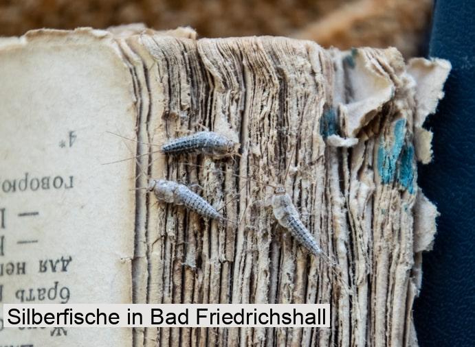 Silberfische in Bad Friedrichshall